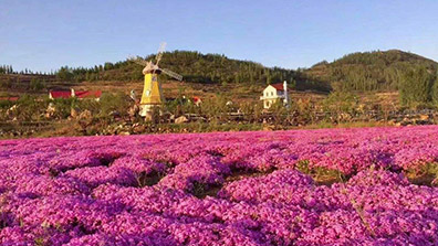 “特色小鎮(zhèn)”和“田園綜合體”之間有關(guān)系嗎？有融合發(fā)展的可能嗎？