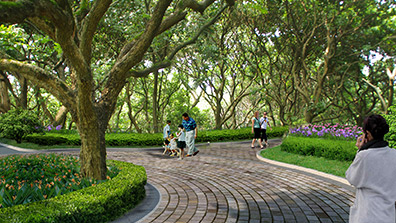 城市園林設(shè)計(jì)過程中的植物配置方法