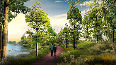 濕地公園價值及保護(hù)意義分析